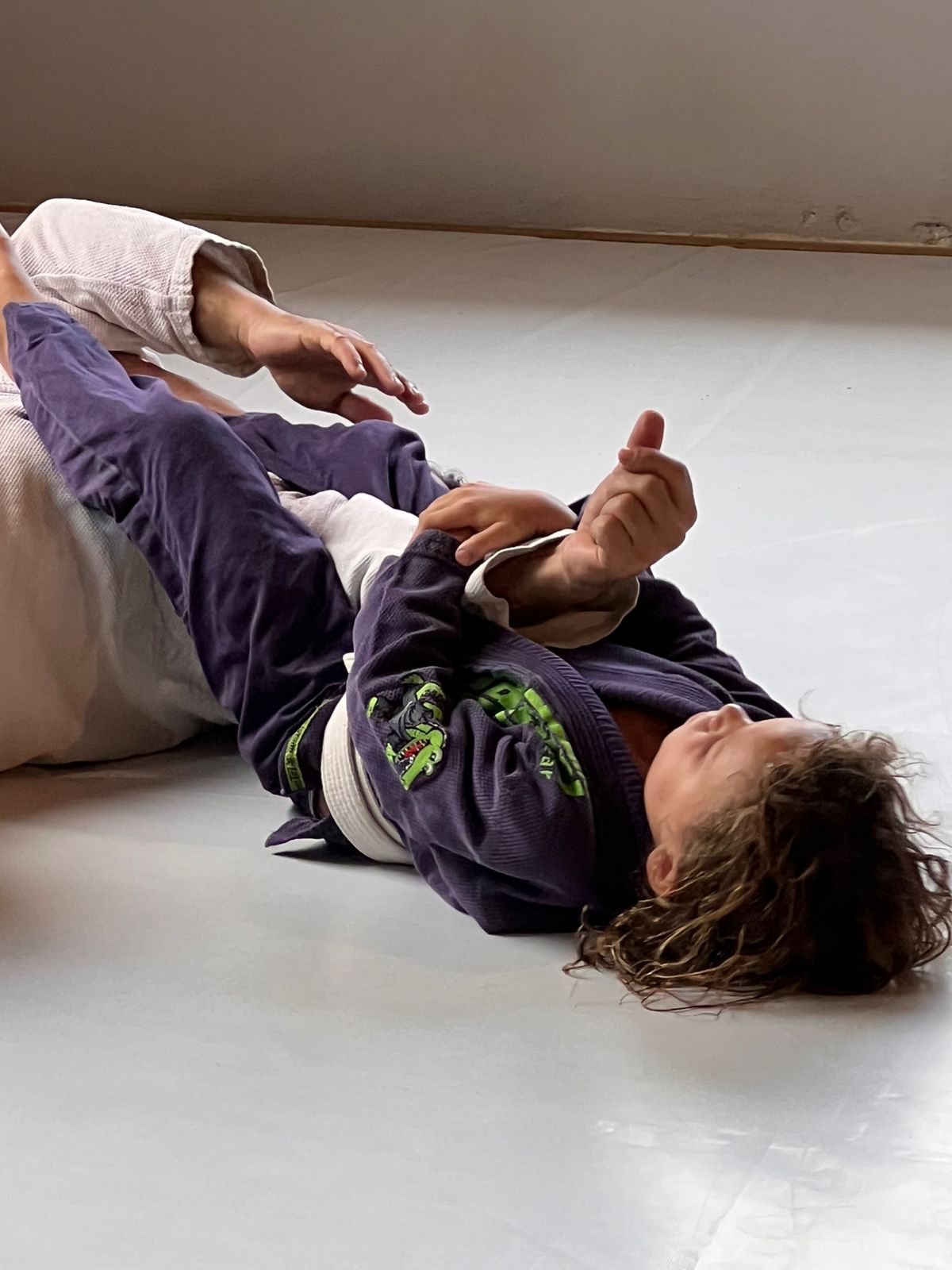 BJJ training